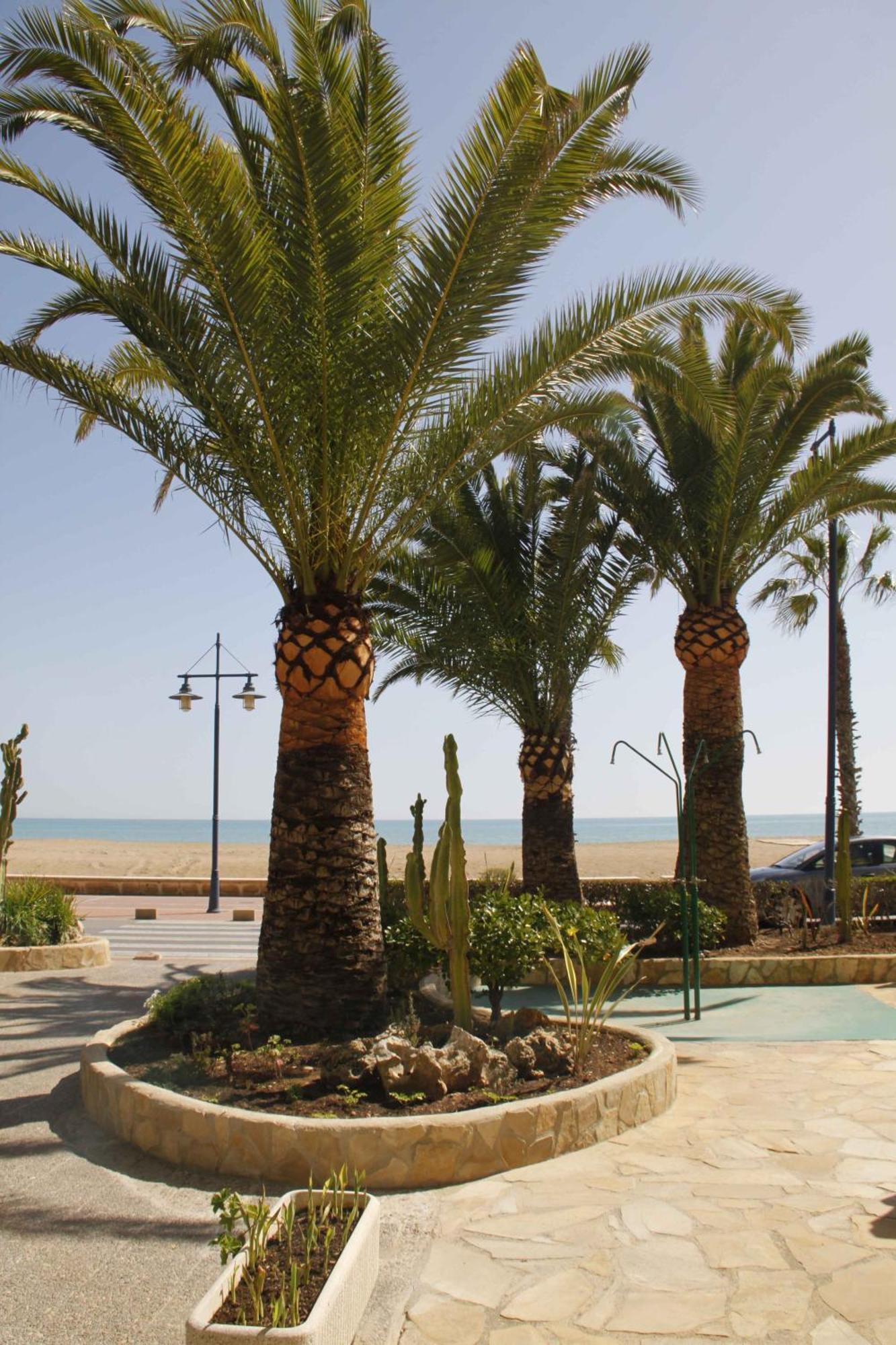 Apartment Florida Ii Peñíscola